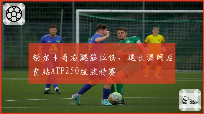 胡尔卡奇右腿筋拉伤,退出温网后首站ATP250纽波特赛